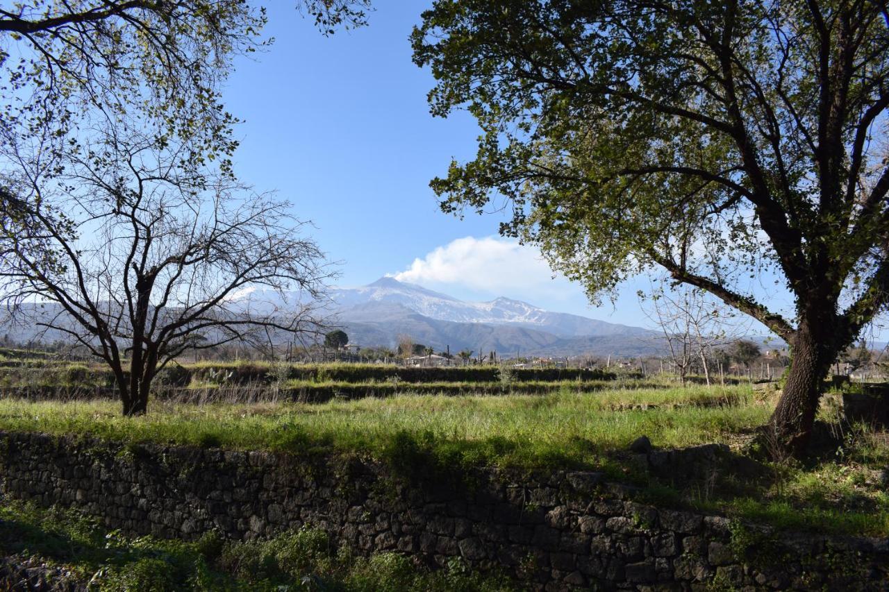 Villa Etna tra le Querce à Santa Venerina Extérieur photo